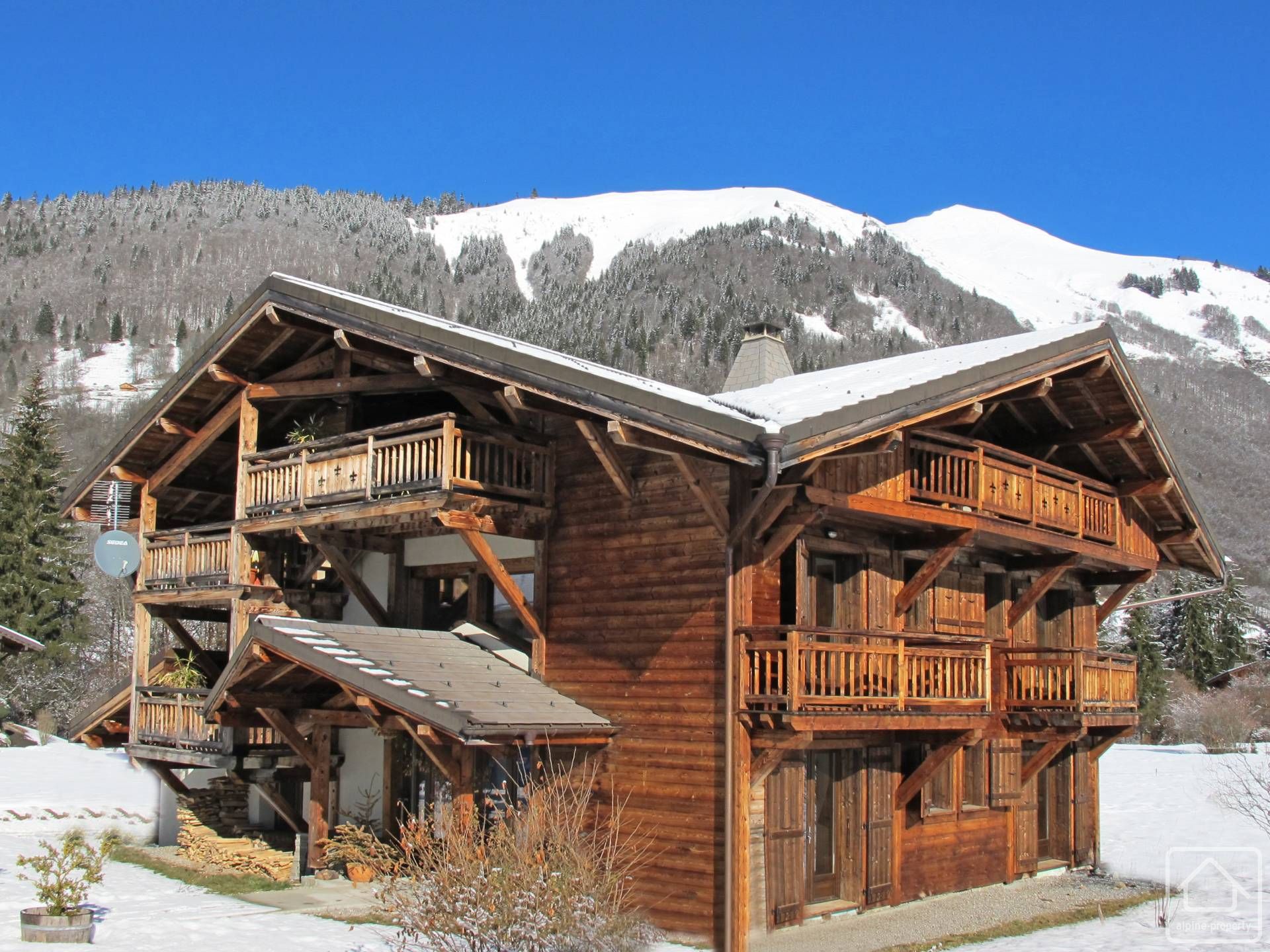 Chalet Beatrice Alpine Property Estate Agent in the French Alps