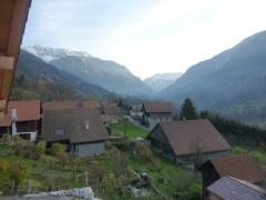Chalet Adelrose - The view