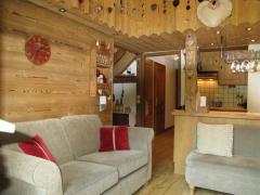 Appt. Perce Neige - Livig area and kitchen