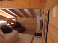 Appt. Brown Bear - 