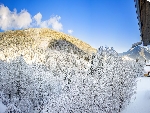 Appt 14, Chalet Clos Florine - 