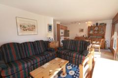Appt. Marmotte - The living room (1)