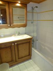 Appt. Trappeurs - The bathroom