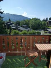 Appt. Trappeurs - The balcony
