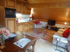 Appt. Trappeurs - The living room (3)