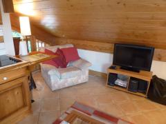Appt. Trappeurs - The living room (4)