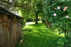 Les Bartavelles - The garden