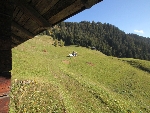 Chalet d