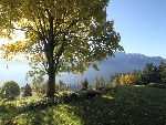 Chalet d