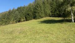 Chalet de Blanche Neige - The plot of land