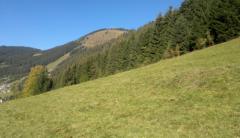 Chalet de Blanche Neige - The land and the view