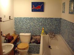 Appt. Le Capieau - Bathroom
