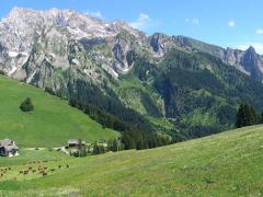 Appt. Le Capieau - Summer panorama (2)