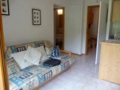 Appt. Le Grand Cerf #47 - The living room