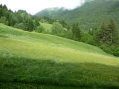 Appt. Le Grand Cerf #47 - Views of the piste from the balcony