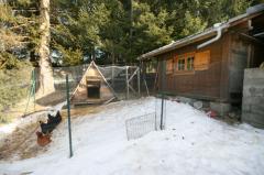 Chalet Cerro - The chicken run