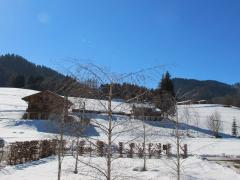 Chalet Alma - The view in winter