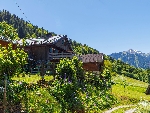 Chalet Bellecombe - 