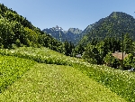 Chalet Bellecombe - 