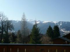 Chalet Belle Vue - View 1