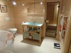 Chalet des Champs - Ground floor bathroom with sauna