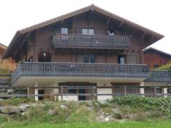 Chalet des Champs - The exterior (1)