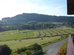 Chalet Les Closets - Summer view (2)