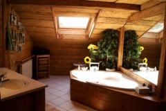 Chalet La Colombine - The master bathroom