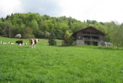 Chalet La Colombine - The setting
