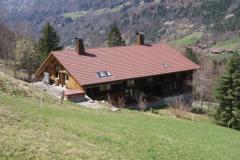 Chalet La Colombine - The chalet from above