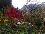 Chalet Le Drapeau - 
