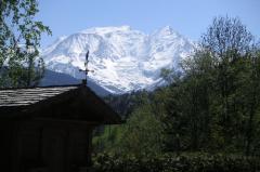 Chalet du Cret - View of Mont Blanc from the garden