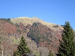 Chalet Floralp - 