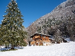 Chalet Floria - 