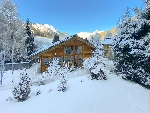 Chalet Fox - 