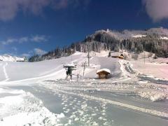 Chalet La Joyère - 