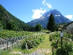 Chalet La Tanière - 