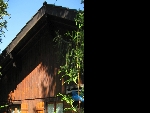 Chalet Les Bossons - 
