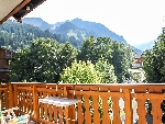 Chalet Linga - 