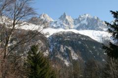 Chalet des Nants - View of Aigulle du Midi from garden