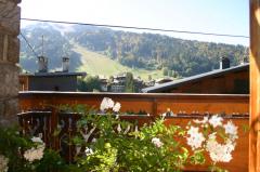 Chalet Neve - View of Pleney ski slopes