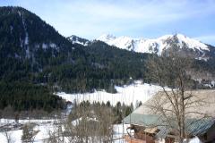 Chalet Papillon - 
