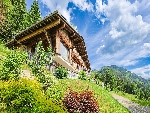 Chalet Petit Châtel - 