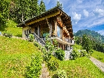 Chalet Petit Châtel - 