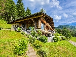 Chalet Petit Châtel - 