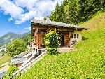 Chalet Petit Châtel - 