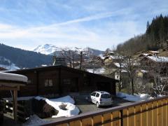 Chalet Les Putheys - 