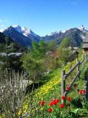 Chalet Le Sappey - 