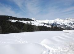Appt. Les Chalets des Frasses, B3 - View south