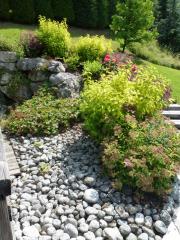 Chalet Sonjon - Established plants